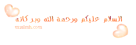 569.gif