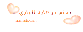 570.gif