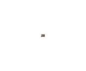 64.gif