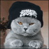 236.gif