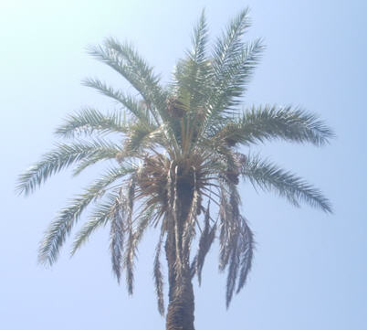 162.jpg