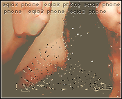 31.gif