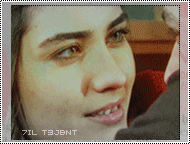 40.gif