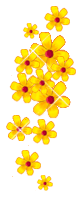 1003.gif