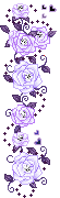 1007.gif