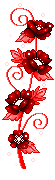 1008.gif