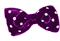 1071.gif