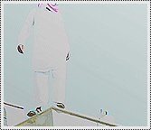 117.gif