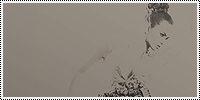 134.gif