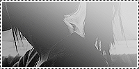 142.gif