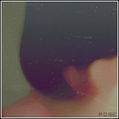 153.gif