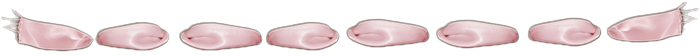 154.png