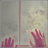 155.gif