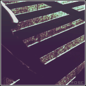 156.gif