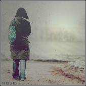 162.gif
