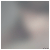 163.gif