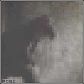 164.gif