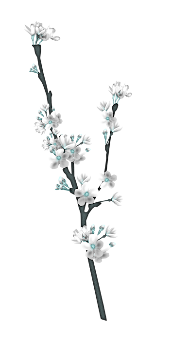 173.png