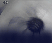 192.gif