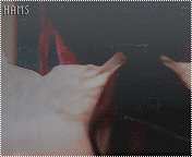 195.gif