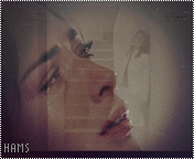 198.gif