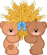 323.gif