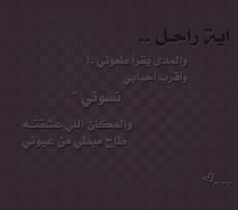 336.jpg