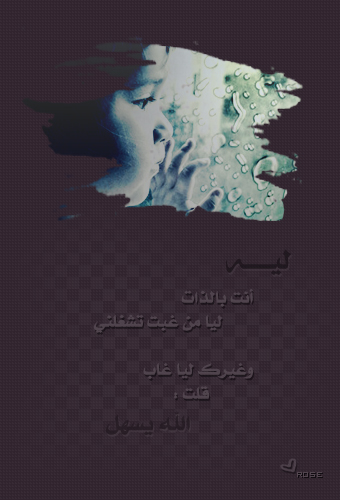 356.jpg