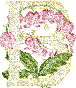 417.gif