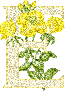 420.gif