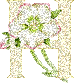 423.gif