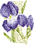 424.gif