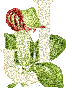 425.gif