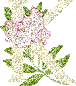 426.gif