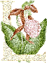427.gif