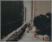 43.gif