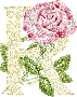 433.gif