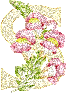 434.gif