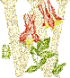 438.gif