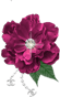 129.gif