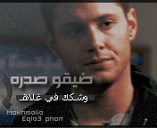 201.gif
