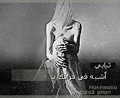 204.gif
