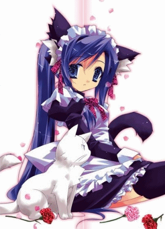 251.gif