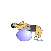 295.gif