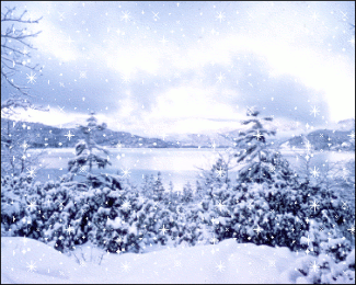 318.gif