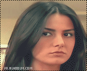 428.gif