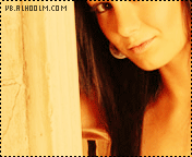 431.gif