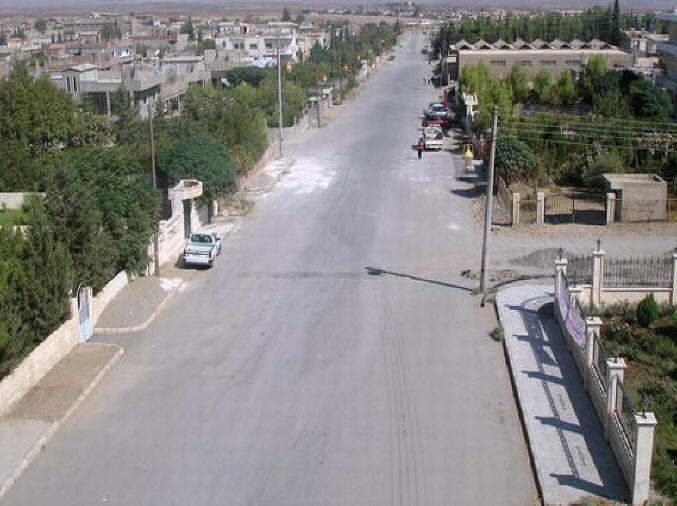 1050.jpg