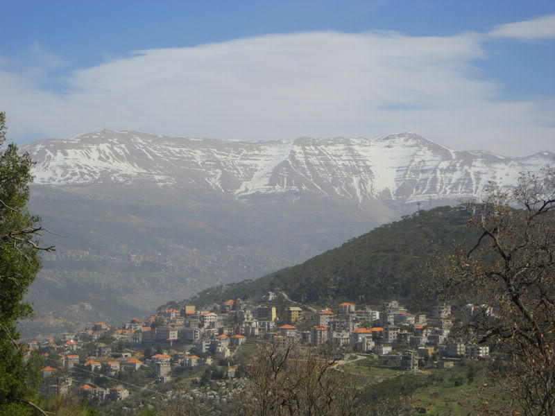 2147.jpg