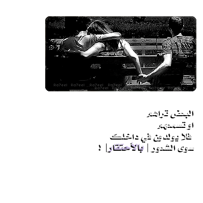 2203.jpg